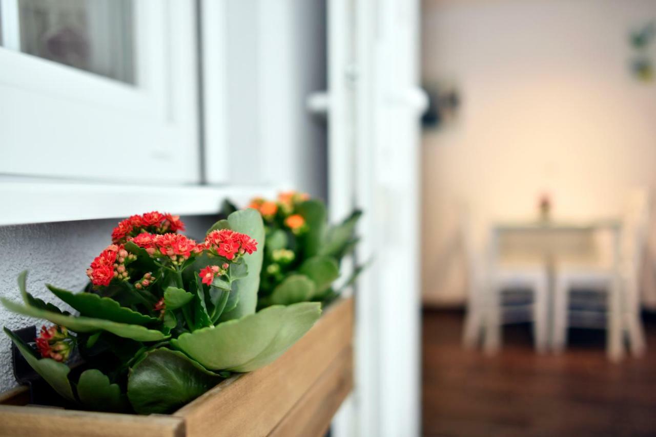 Hostel Temza Zagrzeb Zewnętrze zdjęcie